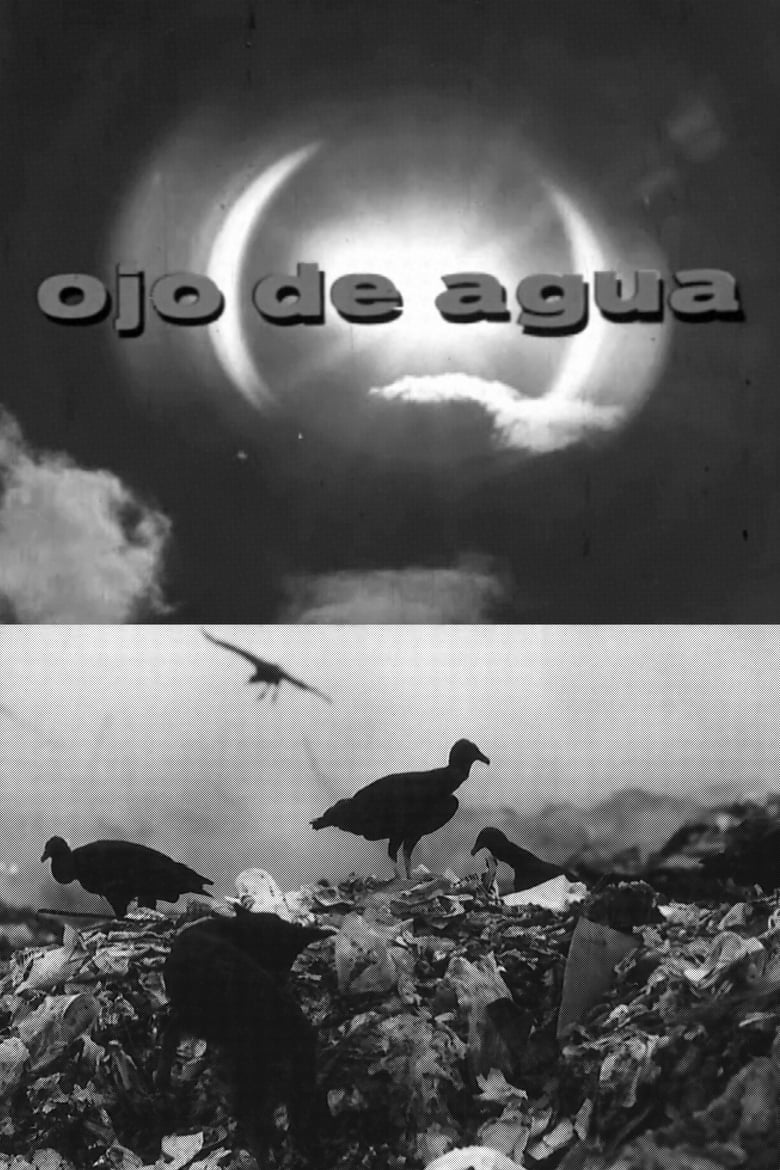 Poster of Ojo de Agua