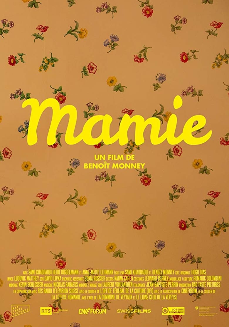 Poster of Mamie