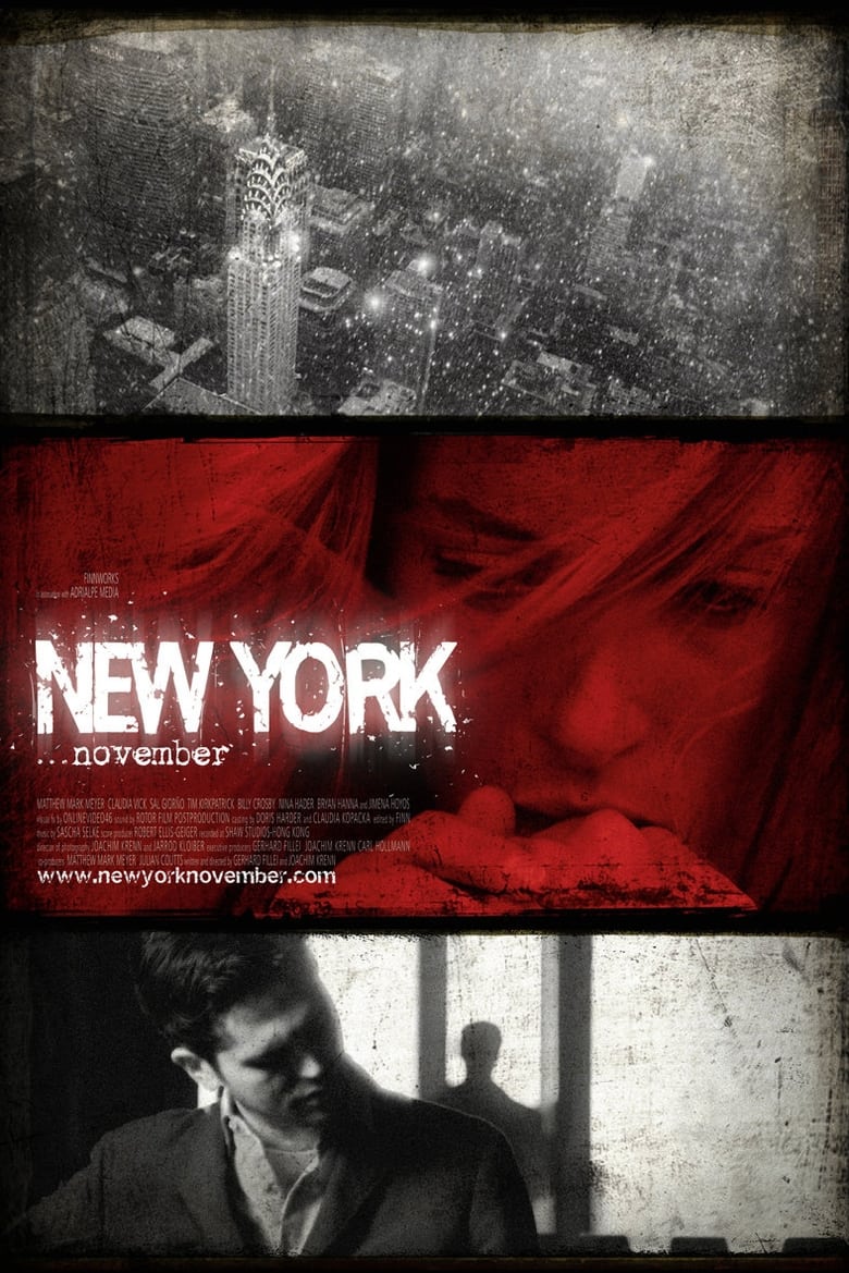 Poster of New York November