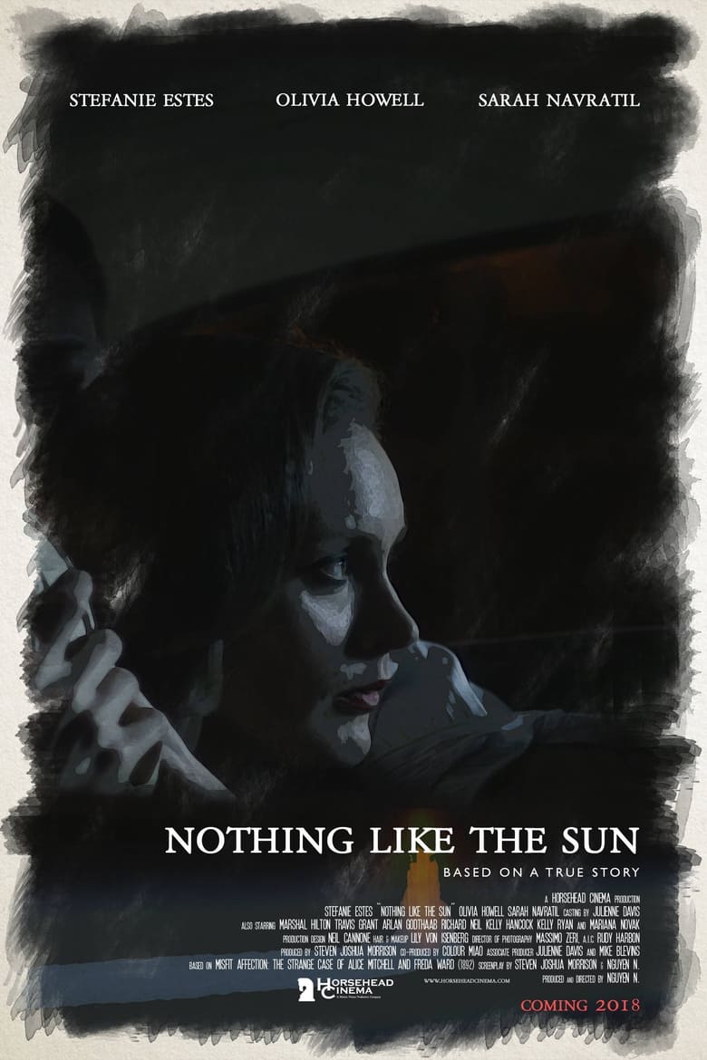 Poster of Nothing Like The Sun