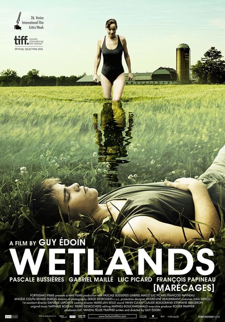 Poster of Wetlands