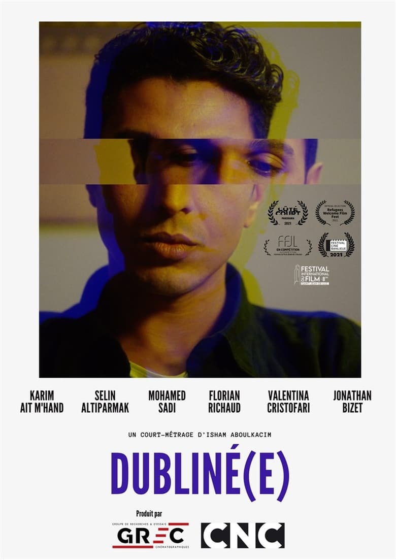 Poster of Dublined