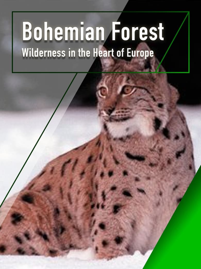 Poster of The Bohemian Forest - Wilderness in the Heart of Europe