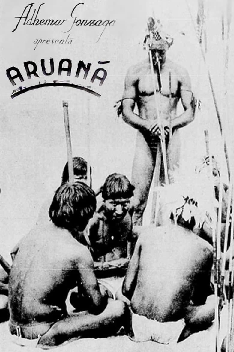 Poster of Aruanã