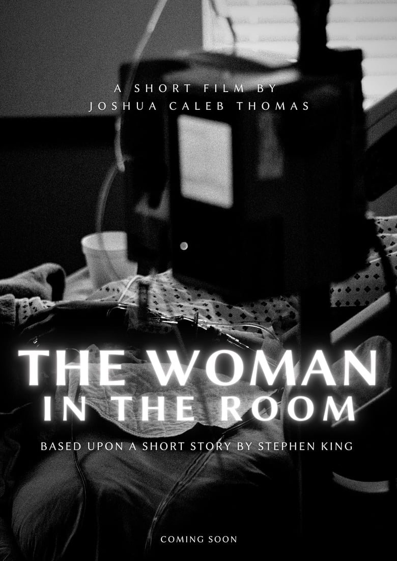 Poster of The Woman in the Room