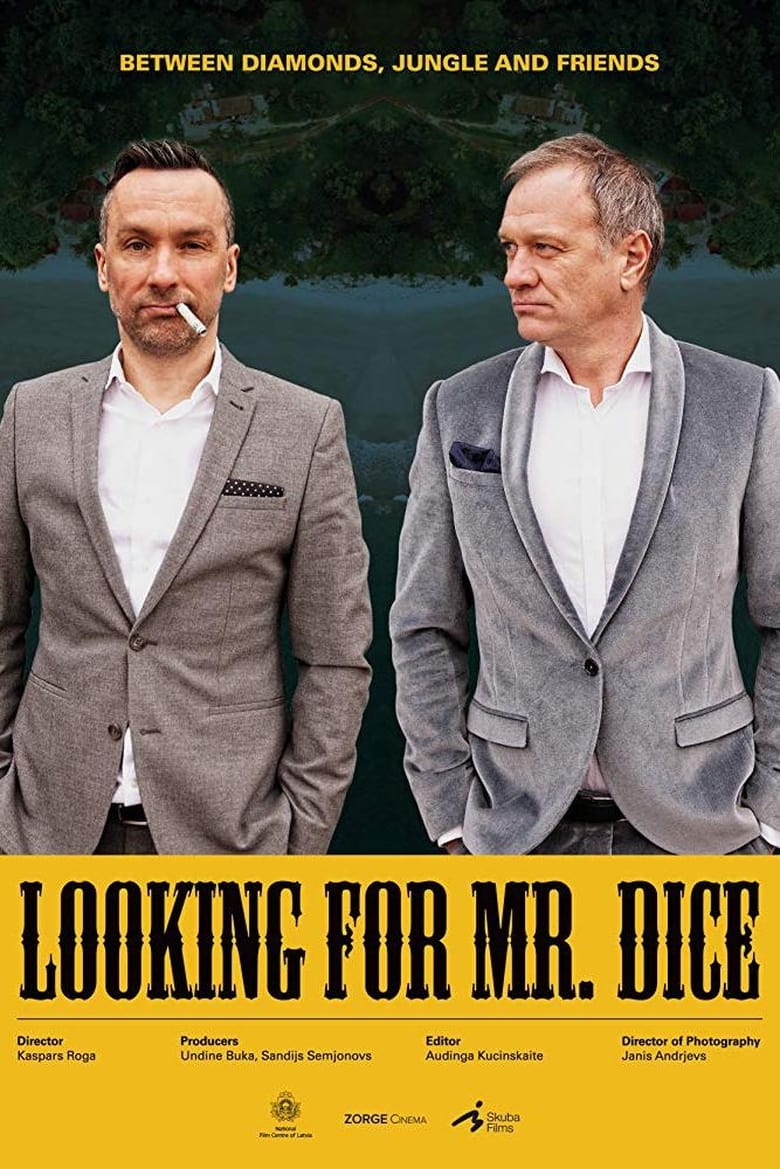 Poster of Looking for Mr. Dice