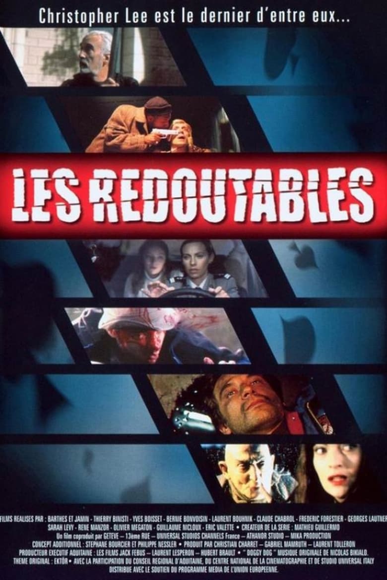 Poster of Les Redoutables