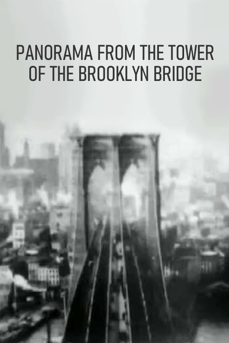 Poster of Panorama from the Tower of the Brooklyn Bridge