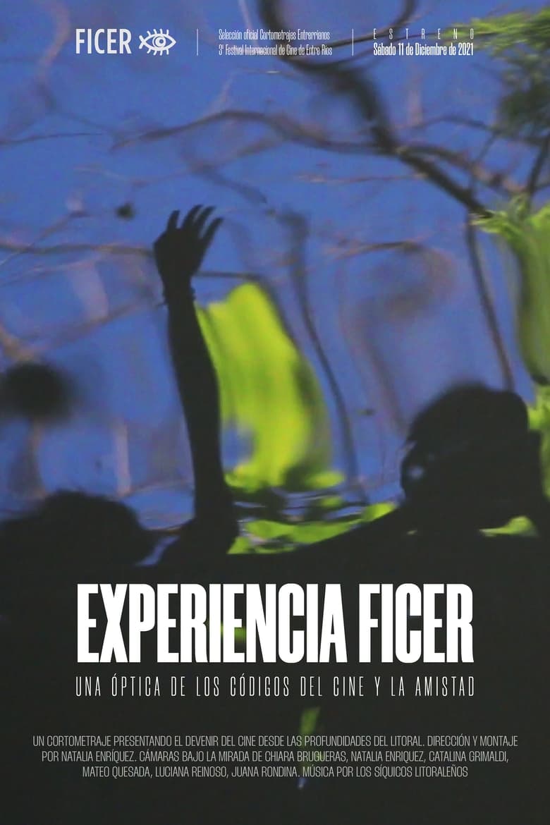 Poster of Experiencia FICER