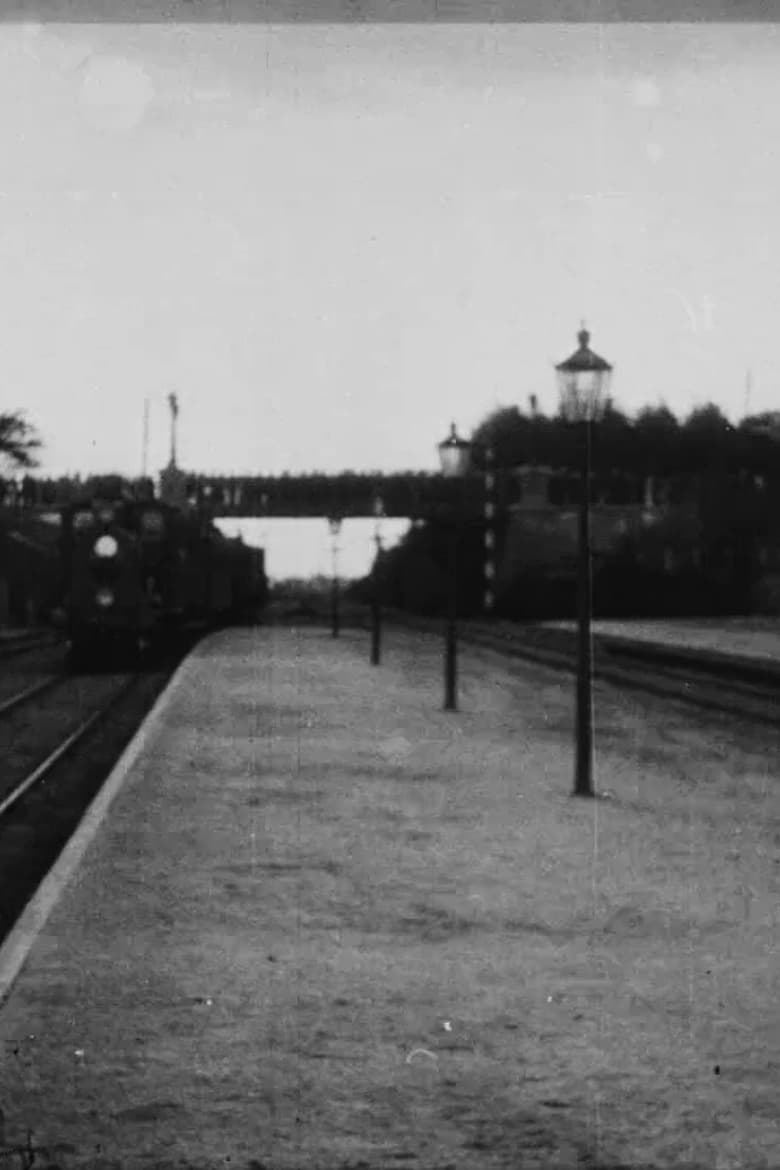 Poster of Empress Dagmar Arrives By Train