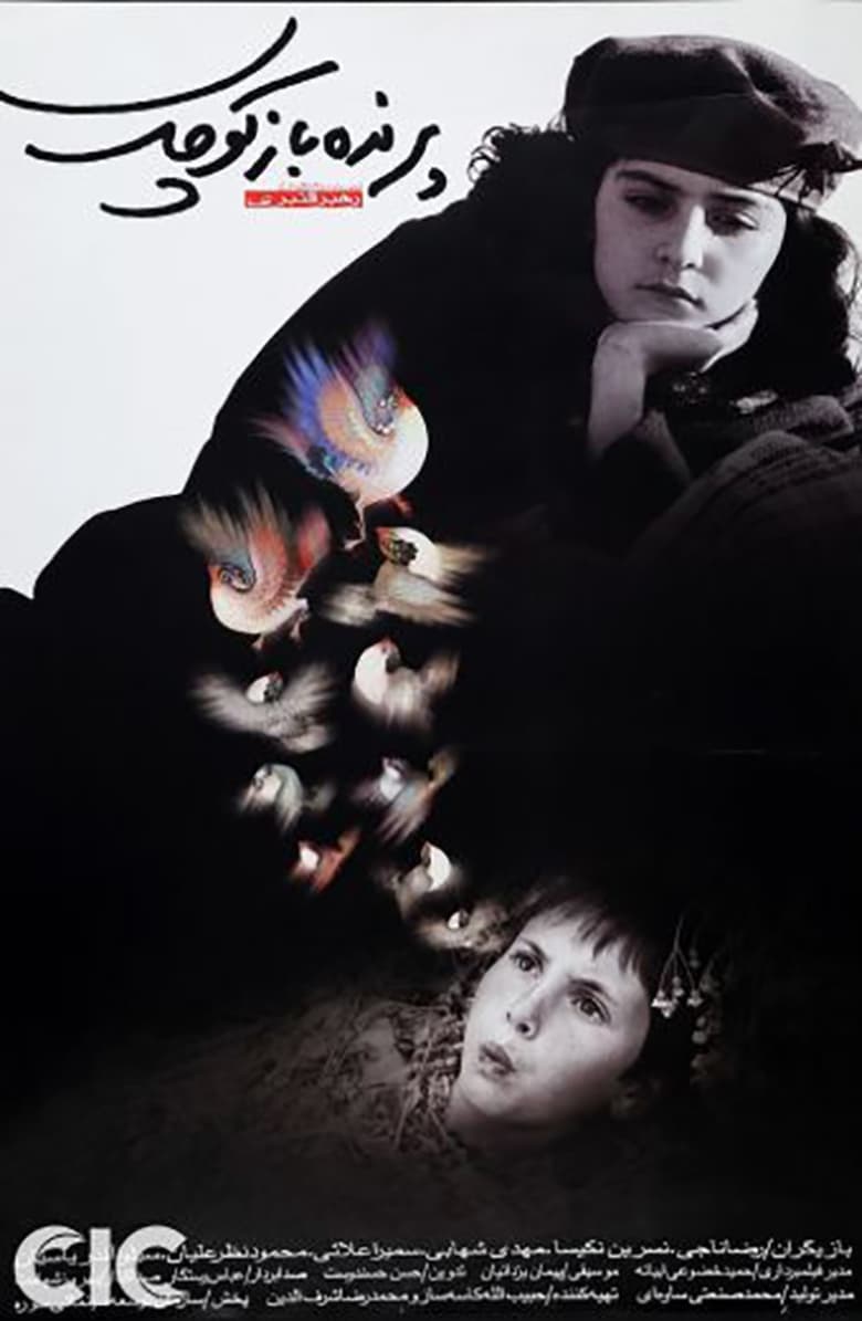 Poster of The Little Bird Boy