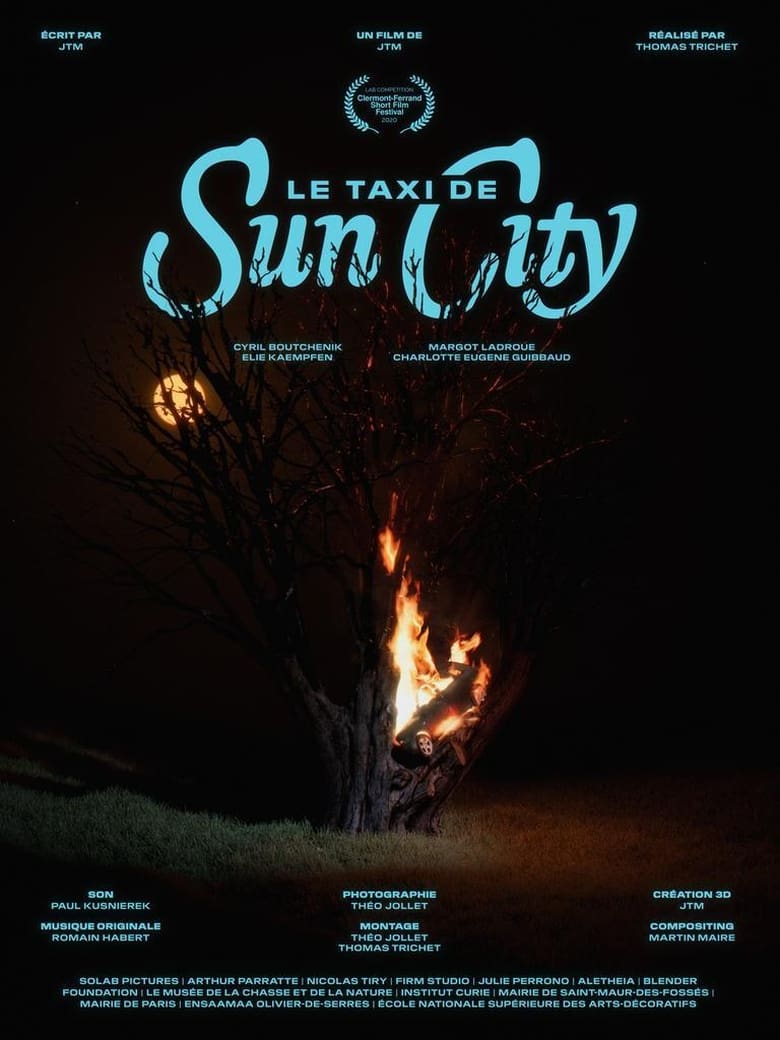 Poster of Le taxi de Sun City