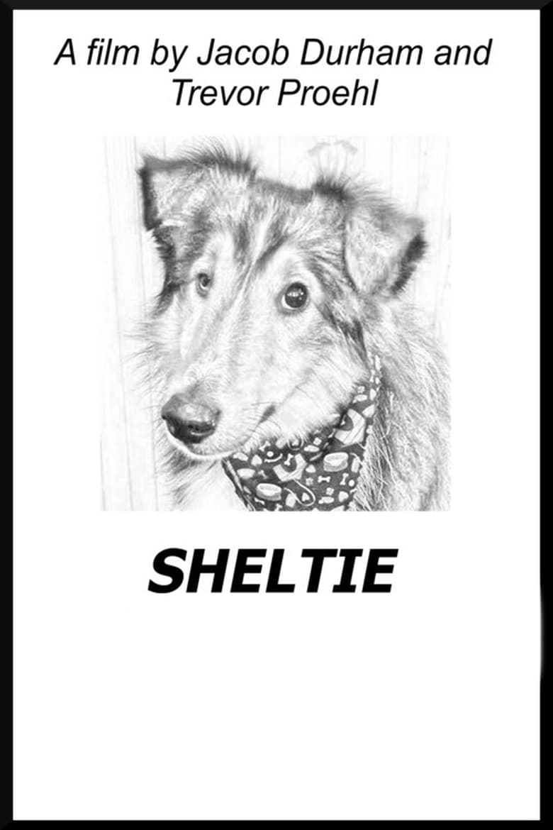 Poster of Sheltie