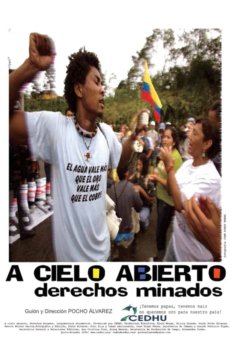 Poster of A cielo abierto, derechos minados