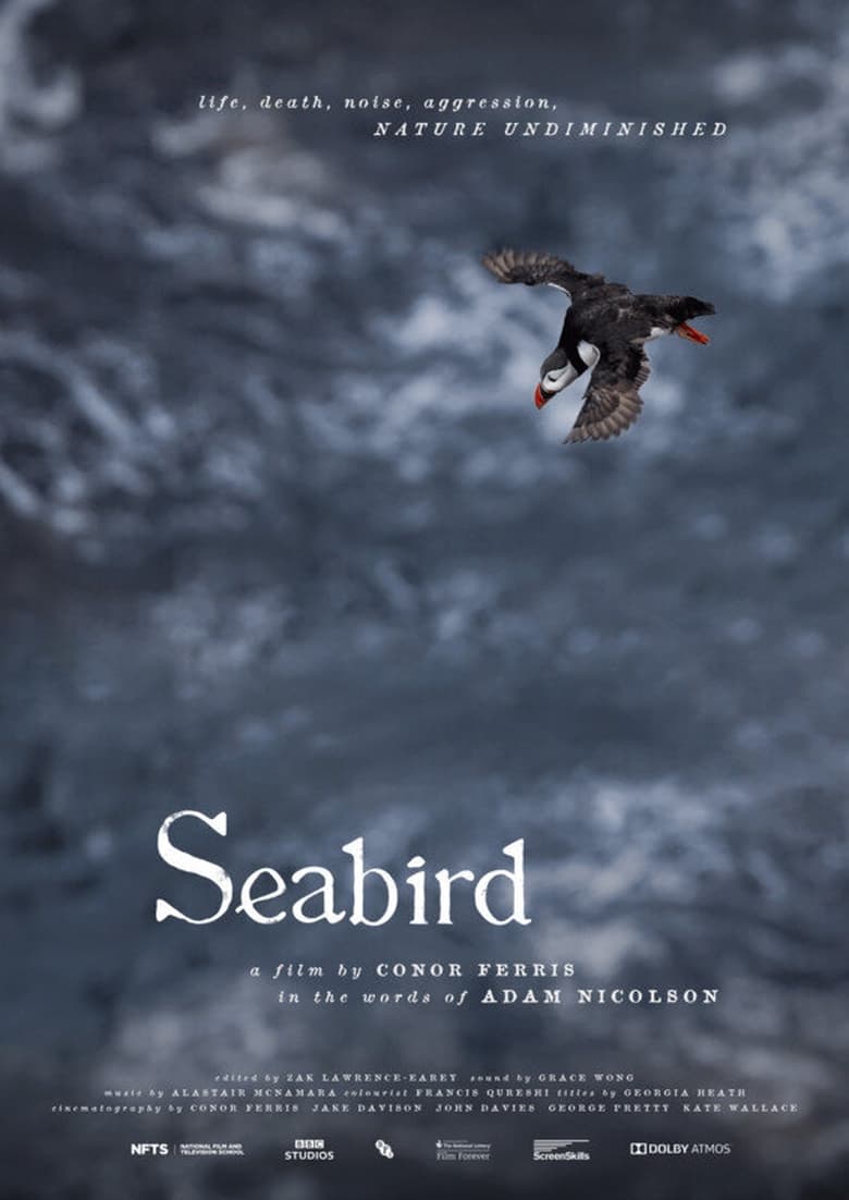 Poster of Seabird