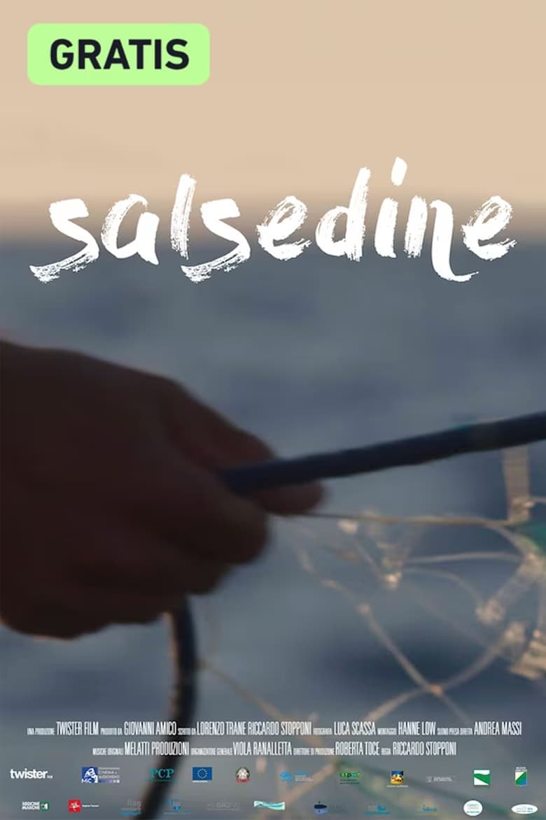 Poster of Salsedine