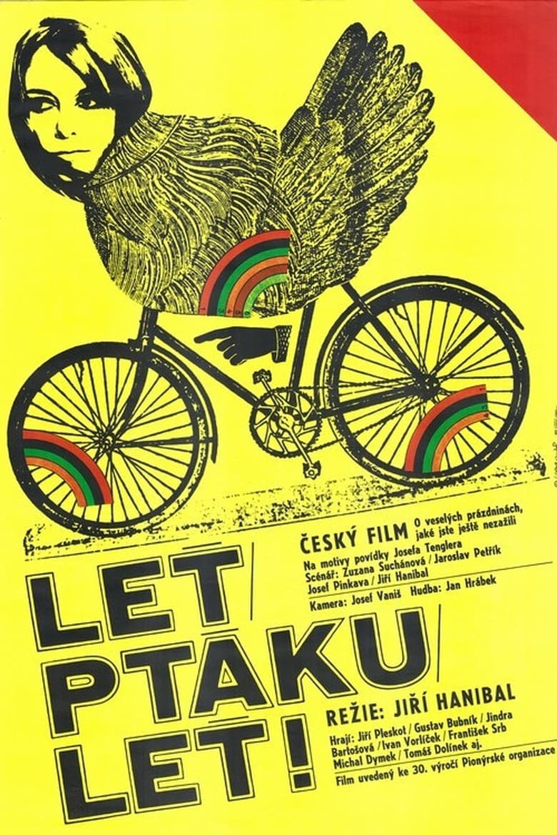 Poster of Leť, ptáku leť!