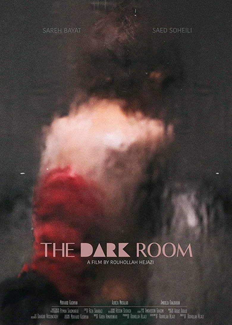 Poster of The Dark Room