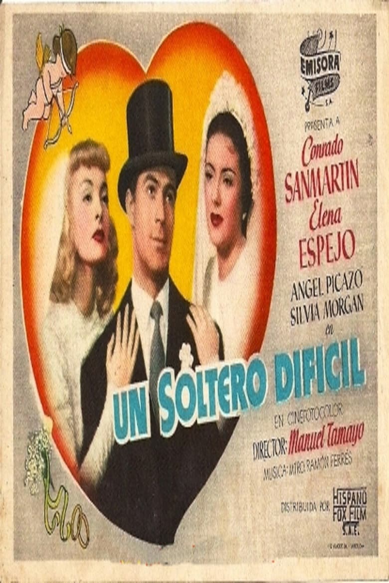 Poster of Un soltero difícil