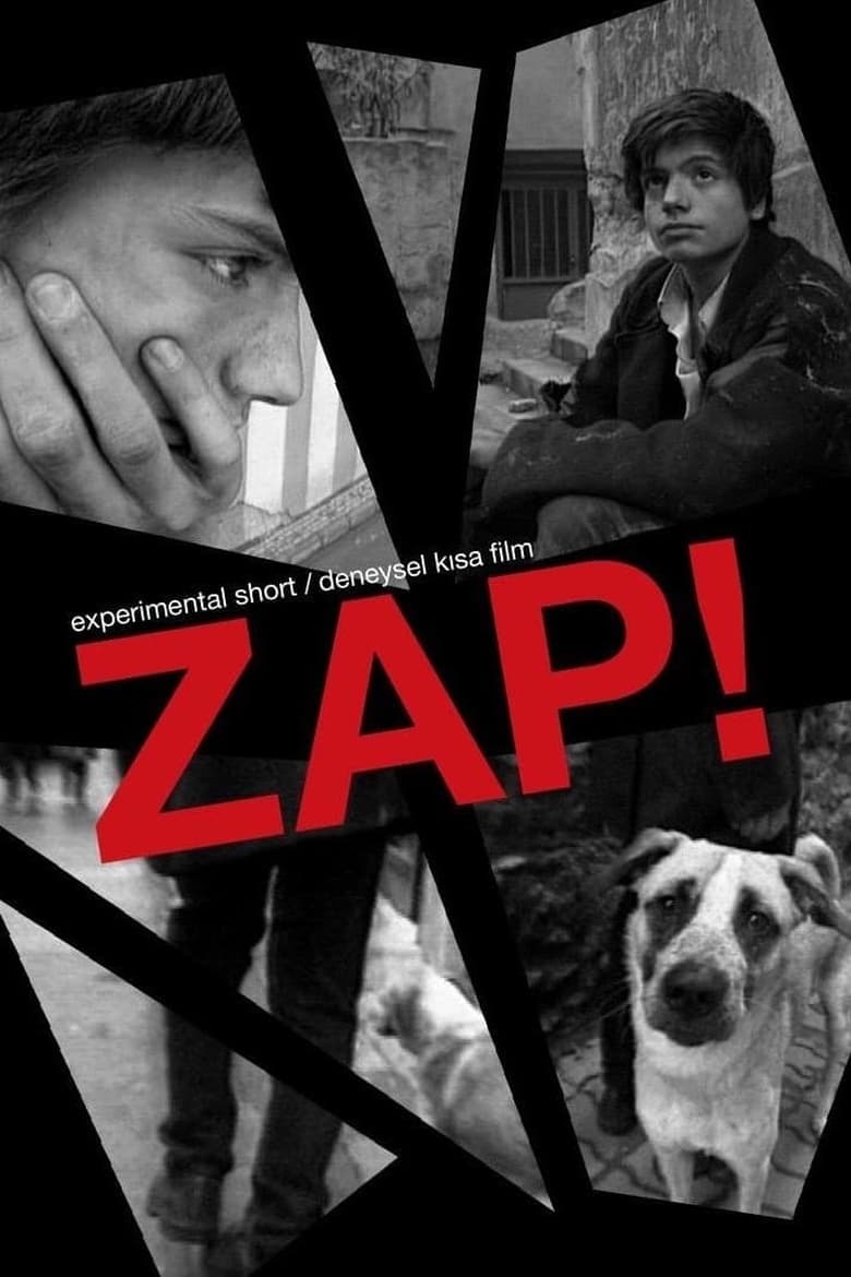 Poster of Zap!