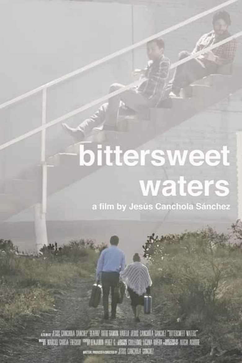 Poster of Bittersweet Waters