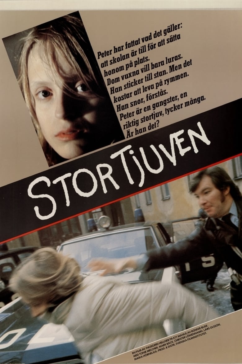 Poster of Stortjuven