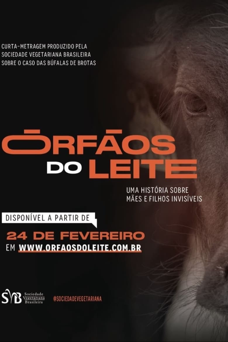 Poster of Órfãos do Leite: Uma história sobre mães e filhos invisíveis