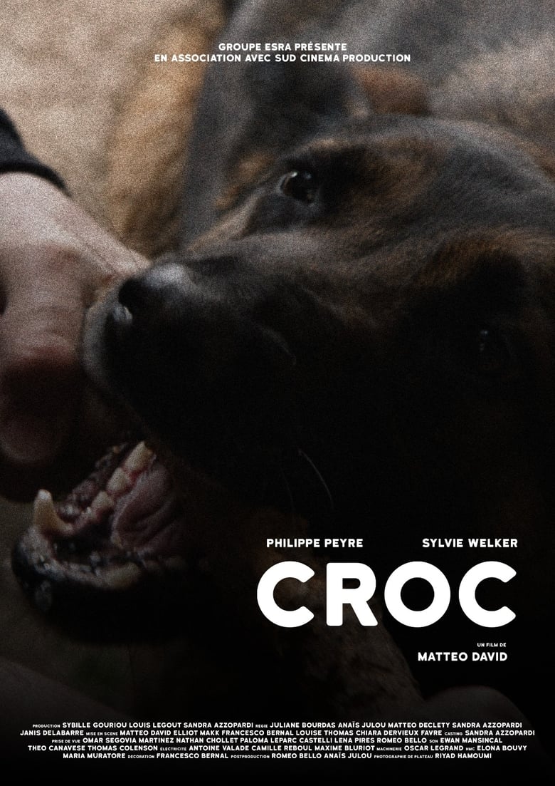 Poster of CROC