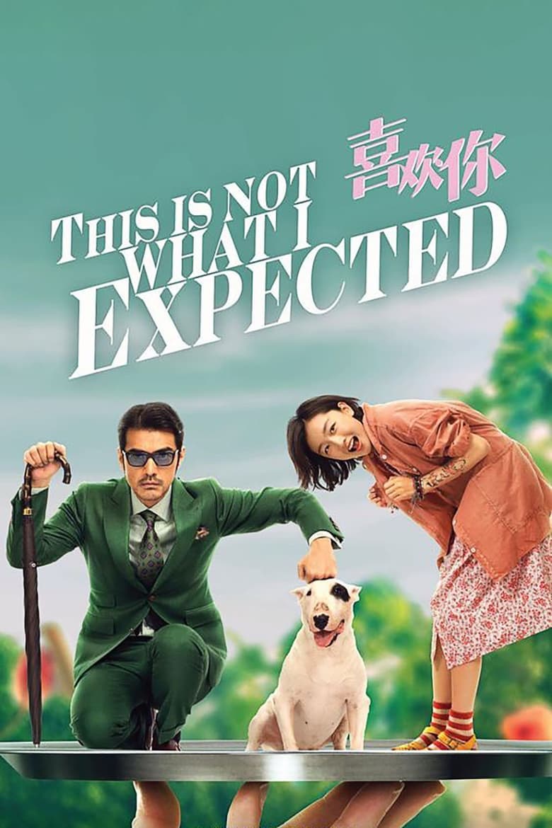 Poster of This Is Not What I Expected