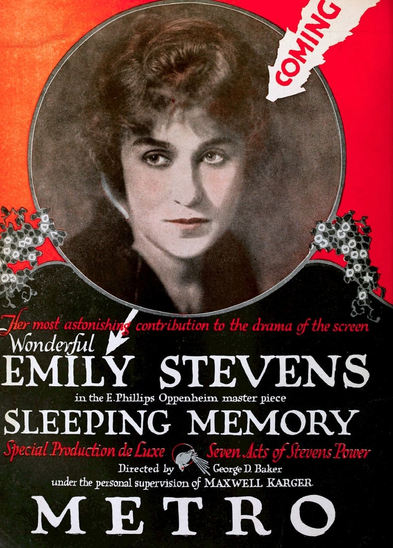 Poster of A Sleeping Memory