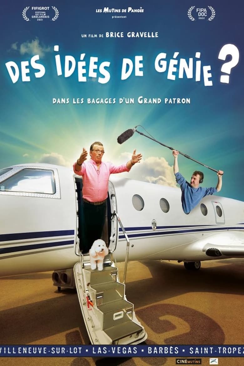 Poster of Des idées de génie ?