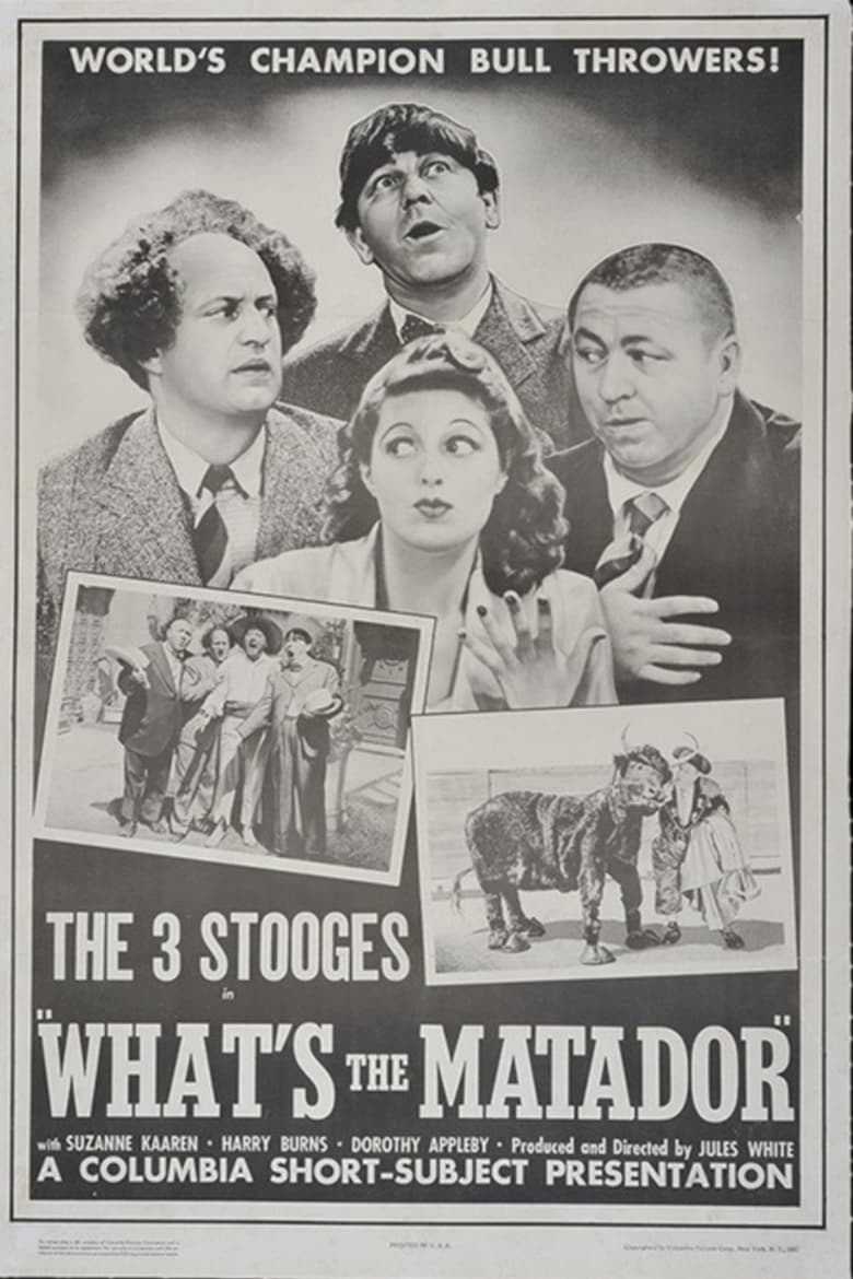 Poster of What's the Matador?