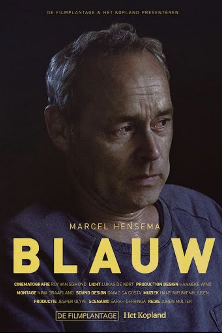 Poster of Blauw