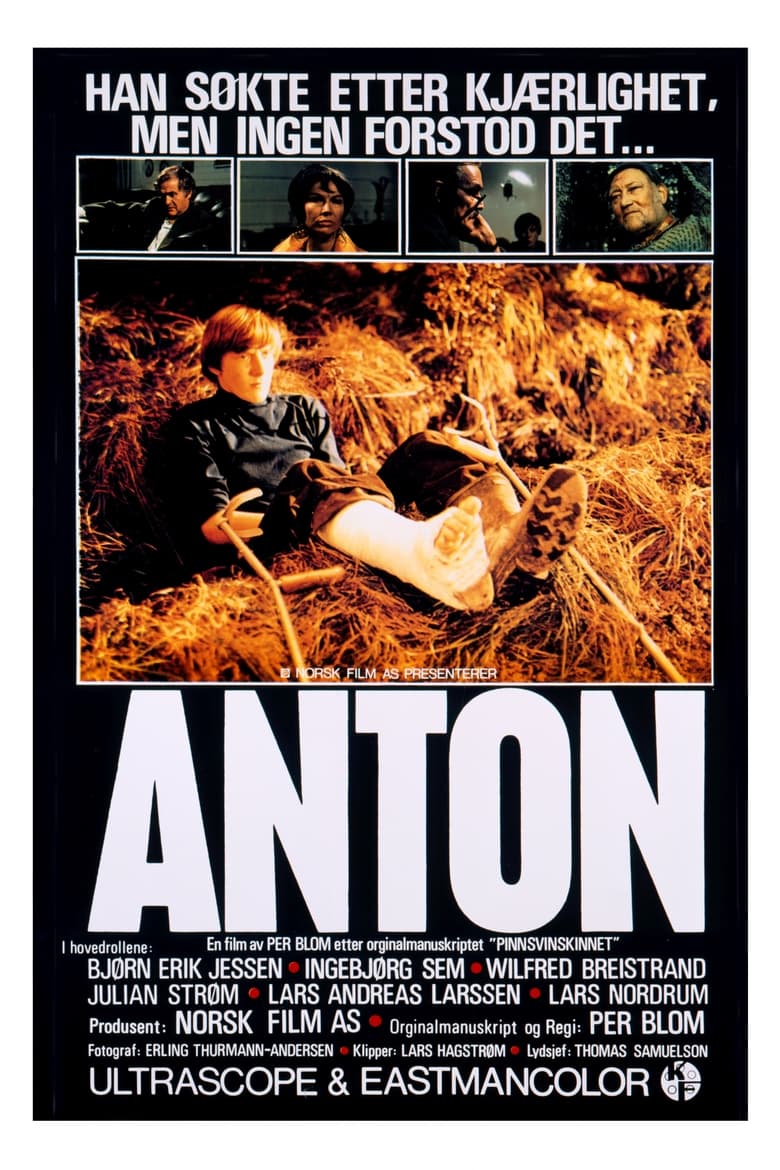 Poster of Anton