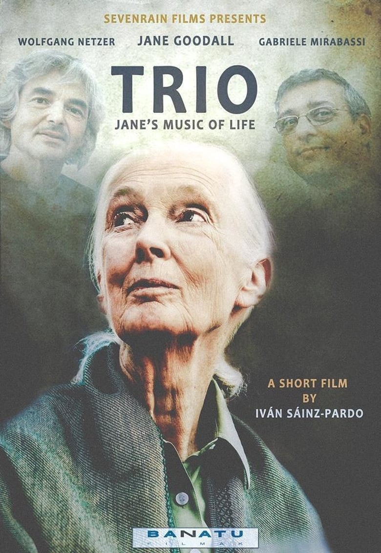 Poster of Trio. Jane's Music of Life