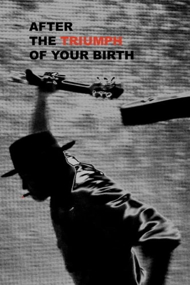 Poster of After the Triumph of Your Birth