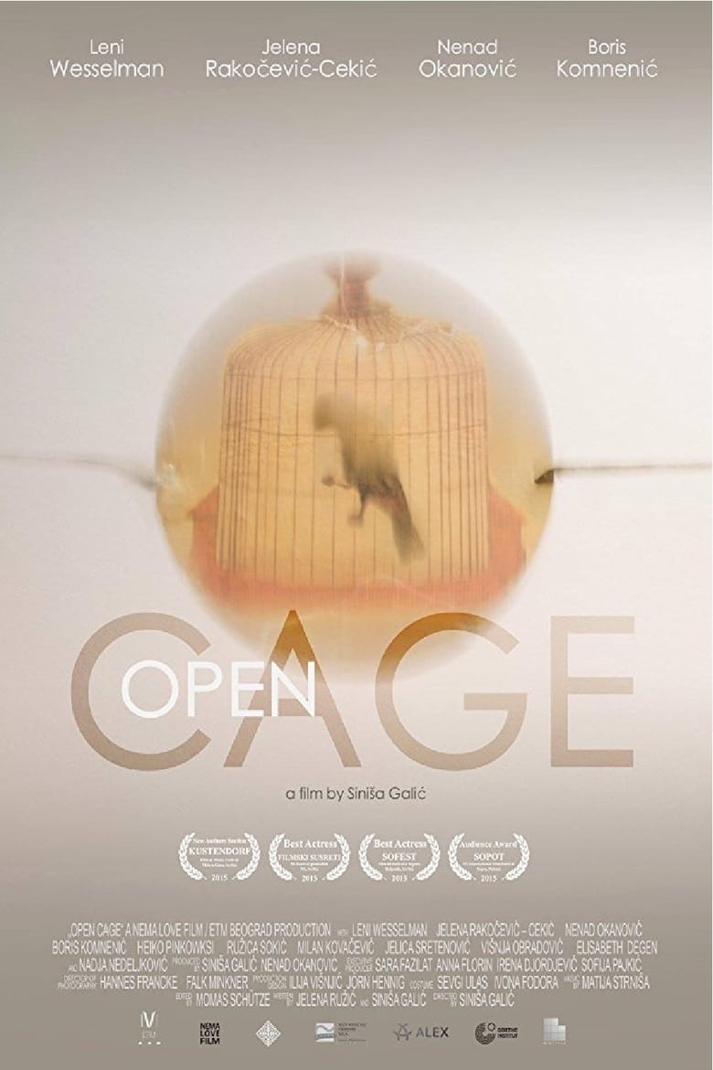 Poster of Open Cage