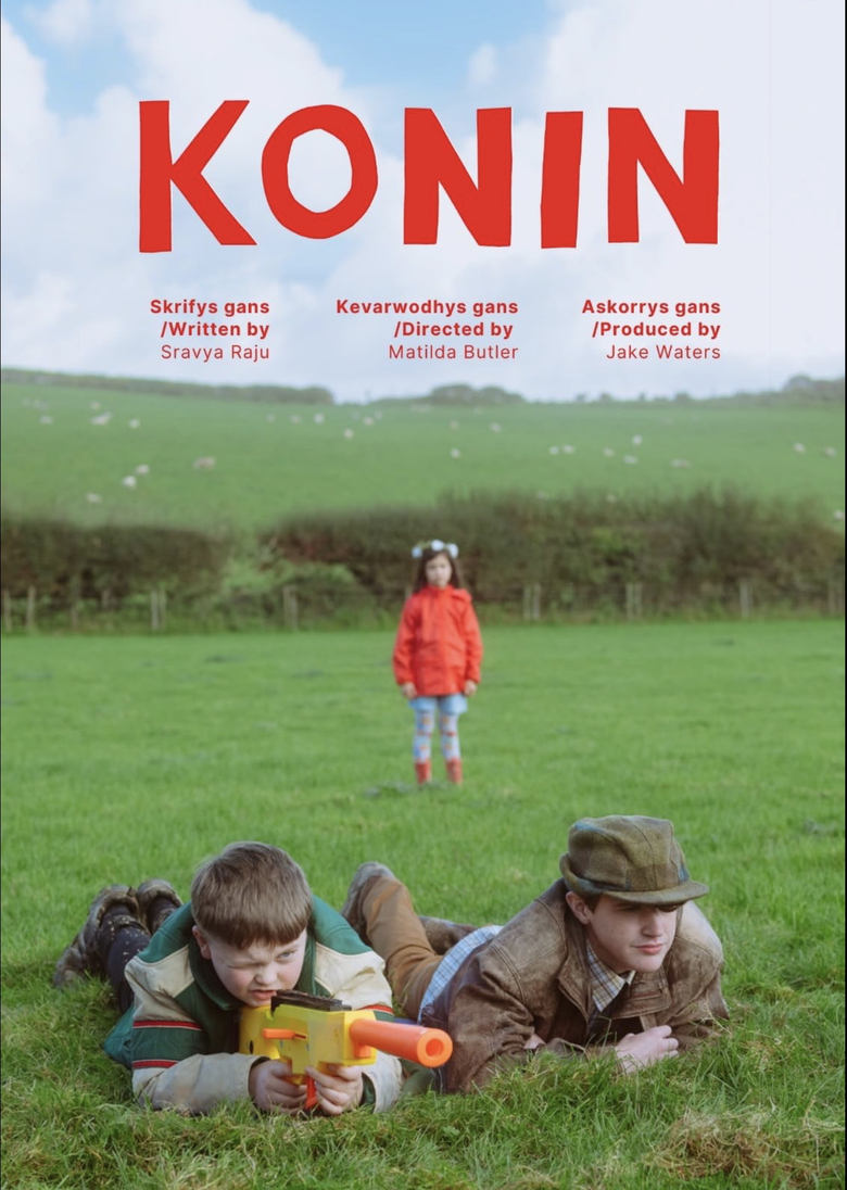 Poster of Konin