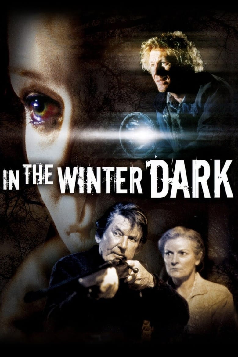 Poster of In the Winter Dark