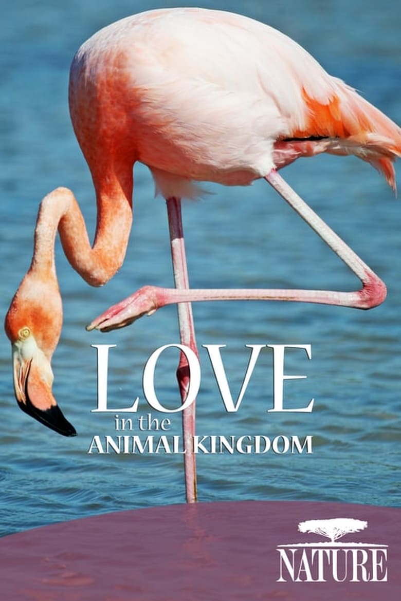 Poster of Nature: Love in the Animal Kingdom