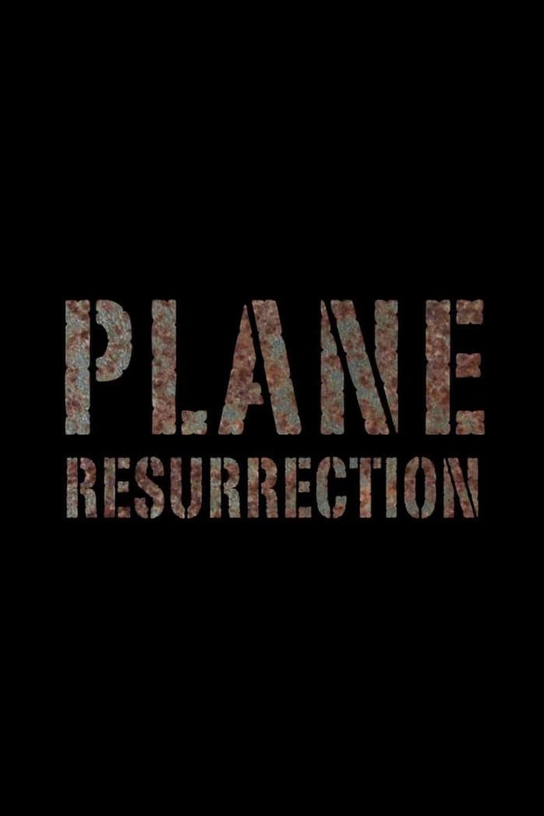 Poster of Plane Resurrection