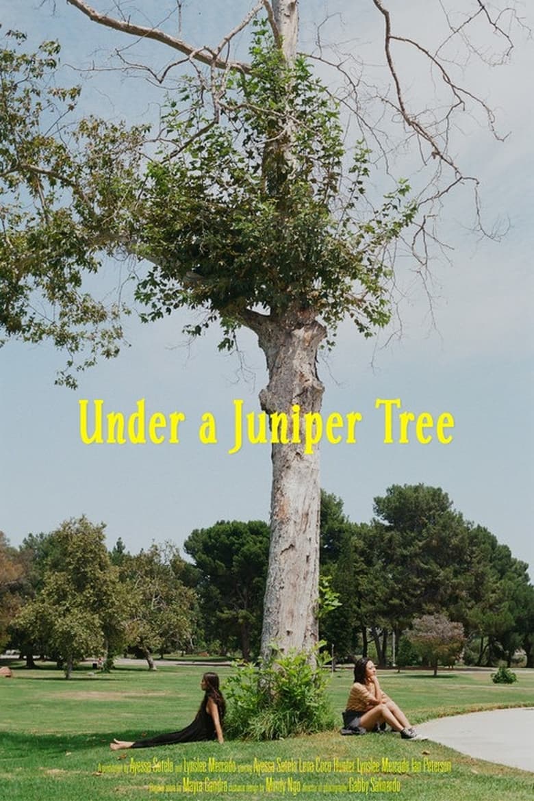 Poster of Under a Juniper Tree