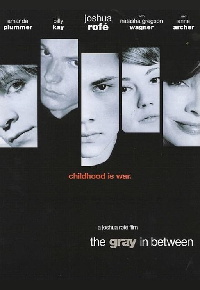 Poster of The Gray in Between