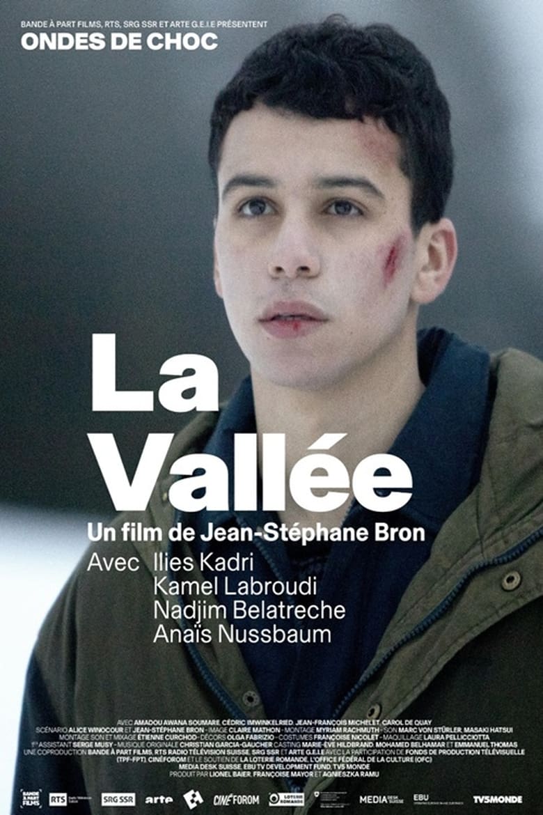 Poster of La Vallée