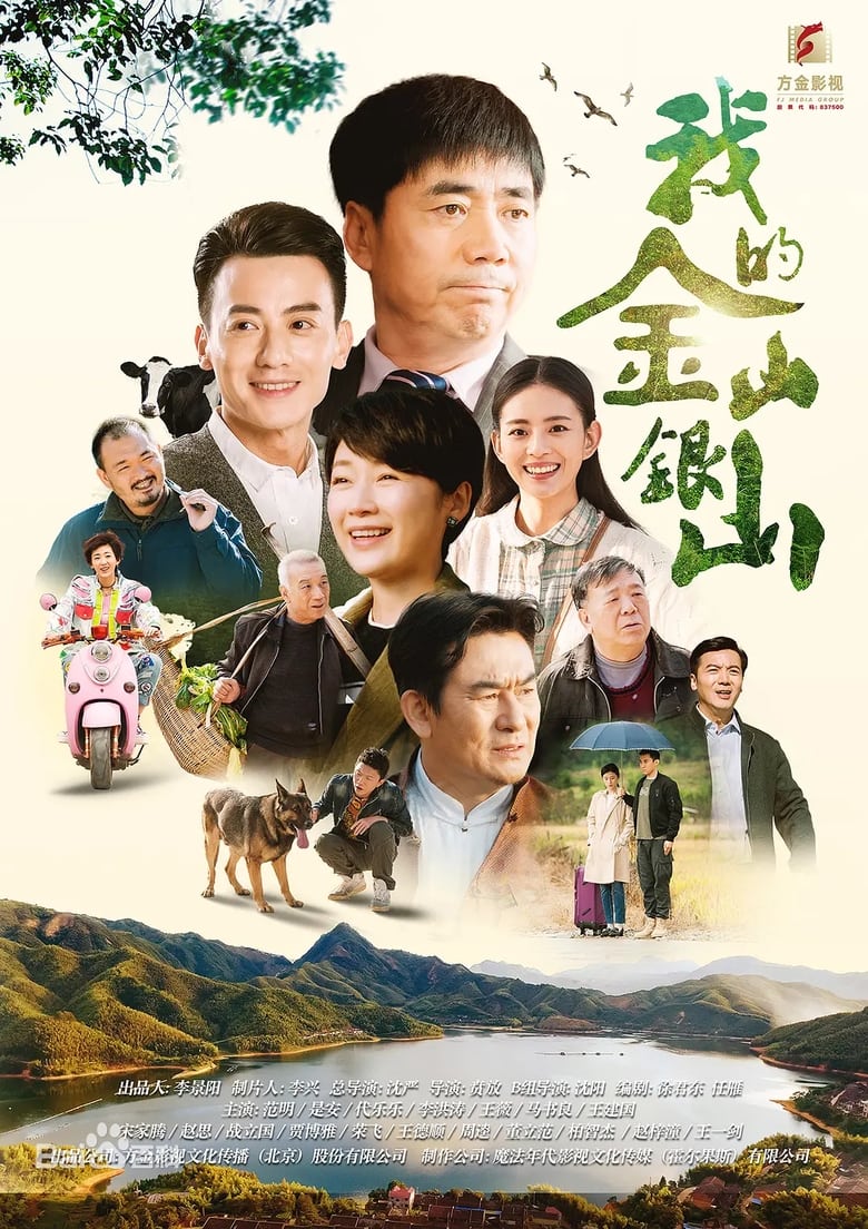 Poster of 我的金山银山