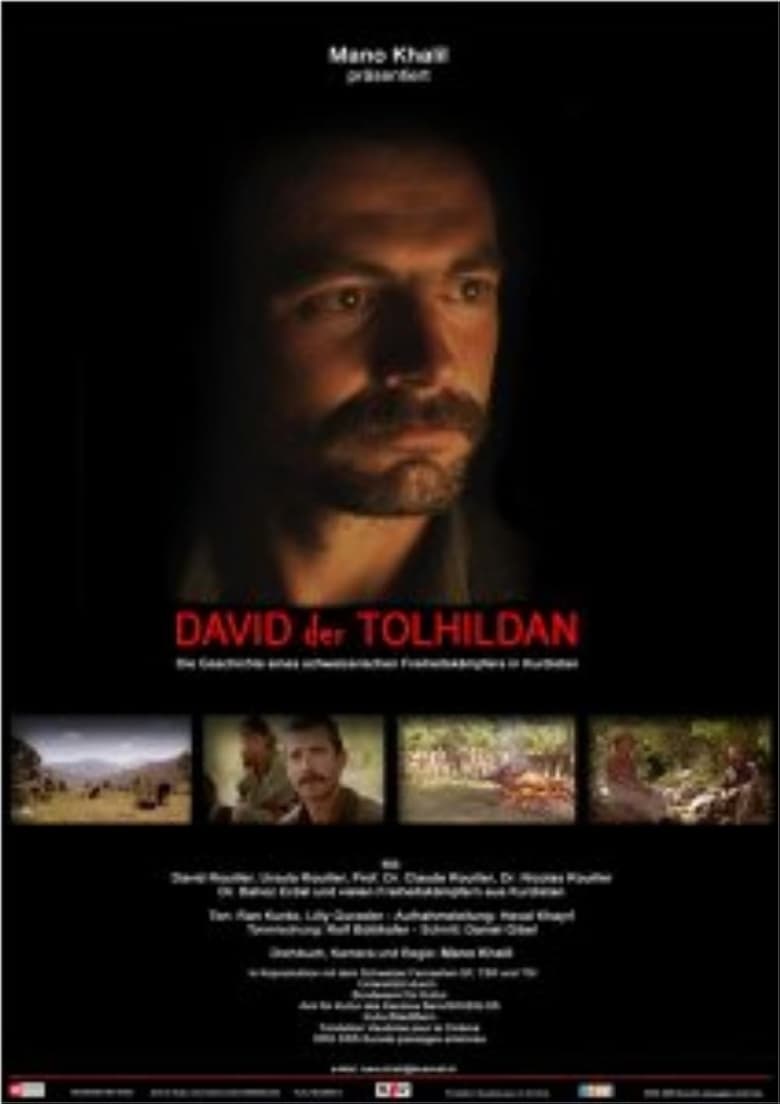 Poster of David the Tolhildan