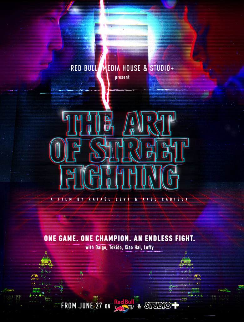 Poster of The Art of Street Fighting