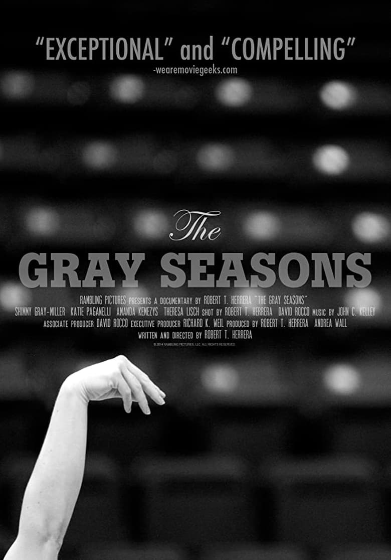 Poster of The Gray Seasons