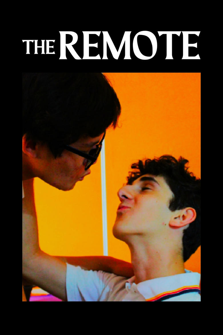 Poster of The Remote