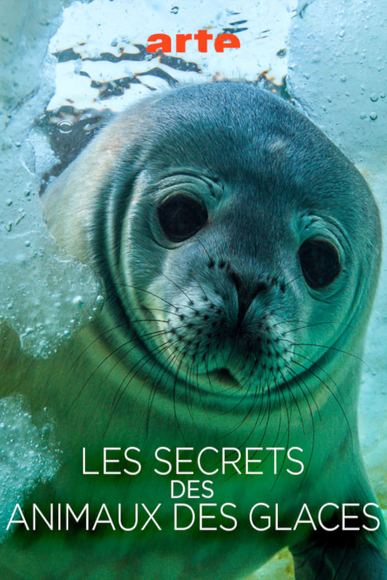 Poster of Les Secrets des Animaux des Glaces